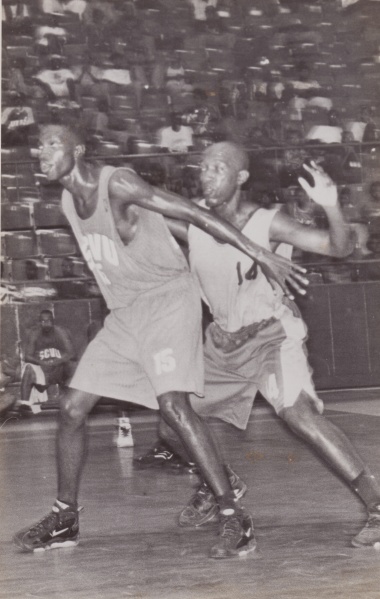 Bestand:Basketbal 037.jpg