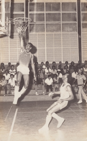 Bestand:Basketbal 031-resize.jpg