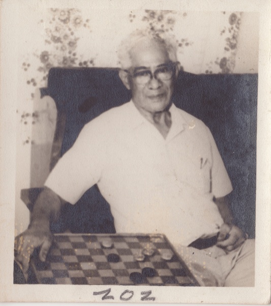 Bestand:Dammen 006.jpg