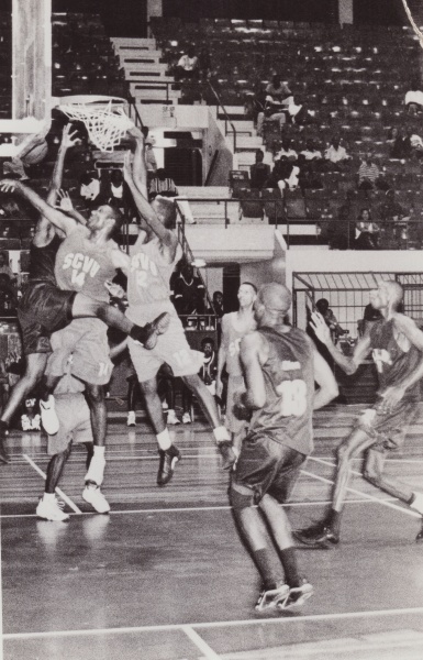 Bestand:Basketbal 036.jpg