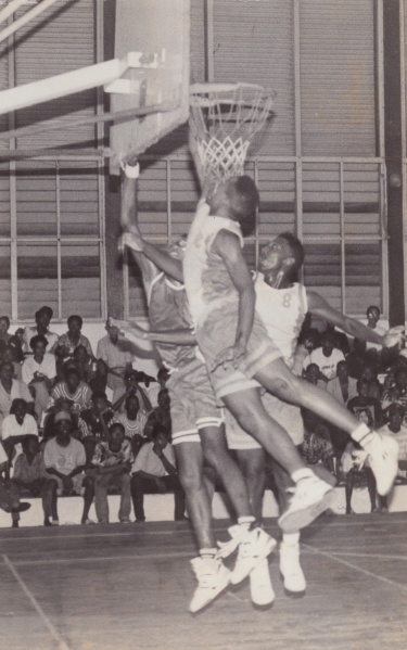 Bestand:Basketbal 032.jpg