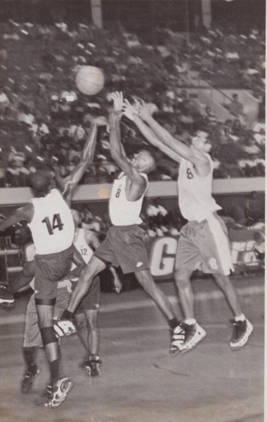 Bestand:Basketbal 024.jpg