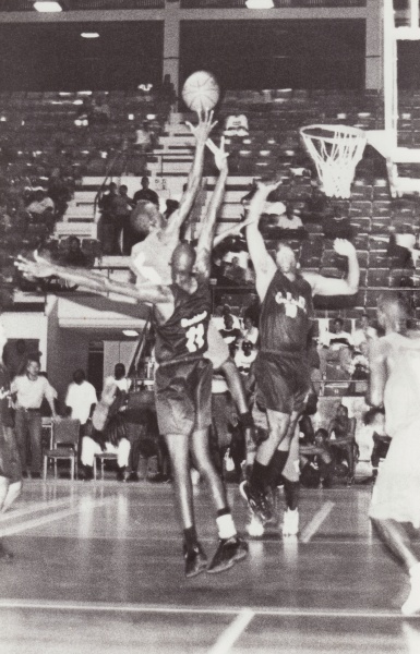 Bestand:Basketbal 033.jpg