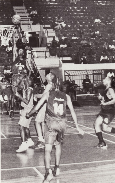 Bestand:Basketbal 023.jpg