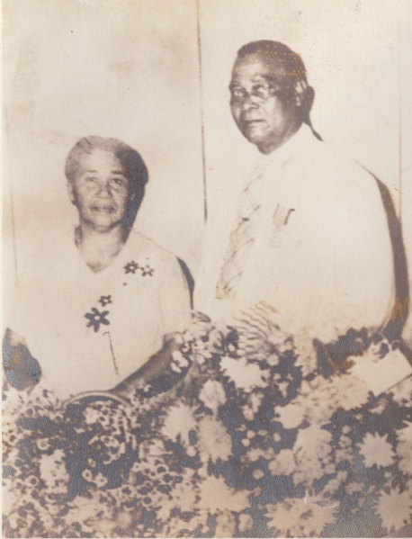 Bestand:Bijna geen voetbal 013.jpg