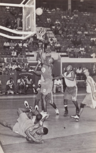 Bestand:Basketbal 026.jpg