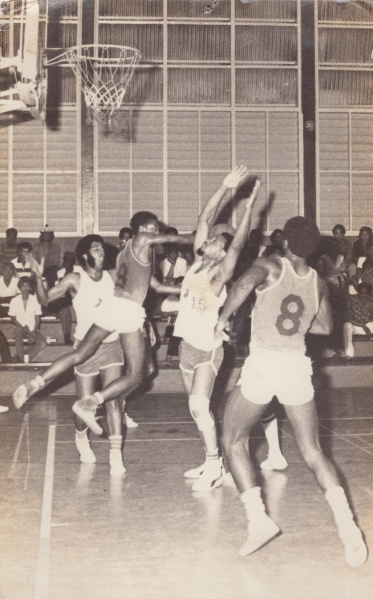 Bestand:Basketbal 027-resize.jpg