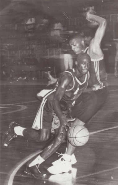 Bestand:Basketbal 038.jpg