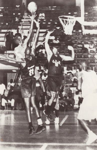 Bestand:Basketbal 035.jpg